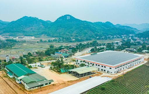 Tổng công ty may tuyên quang lgg