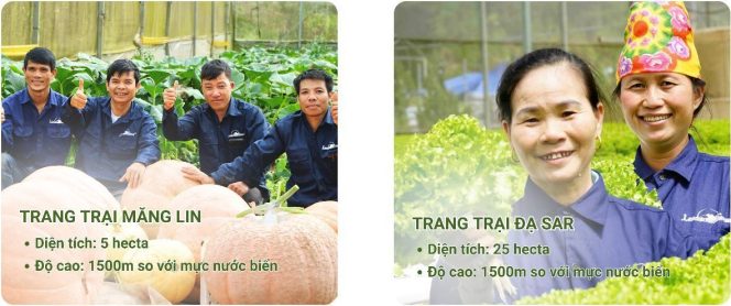 Công ty langbiang farm tuyển dụng kỹ sư nông nghiệp tại đà lạt