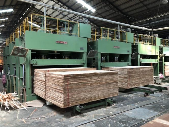 Tuyển 20 nam sản xuất ván ép, ván sàn và gỗ ép tại Chương Hóa, Đài Loan