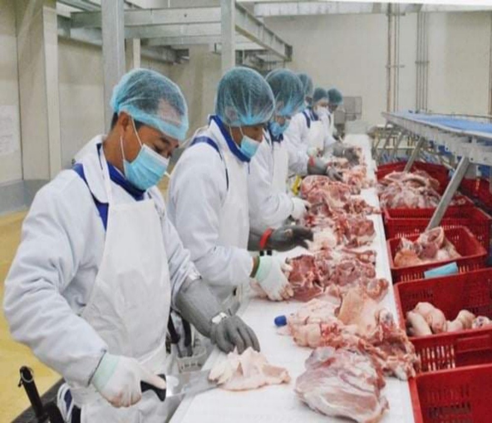 NHÂN VIÊN PHA LÓC THỊT (CA 4 TIẾNG)